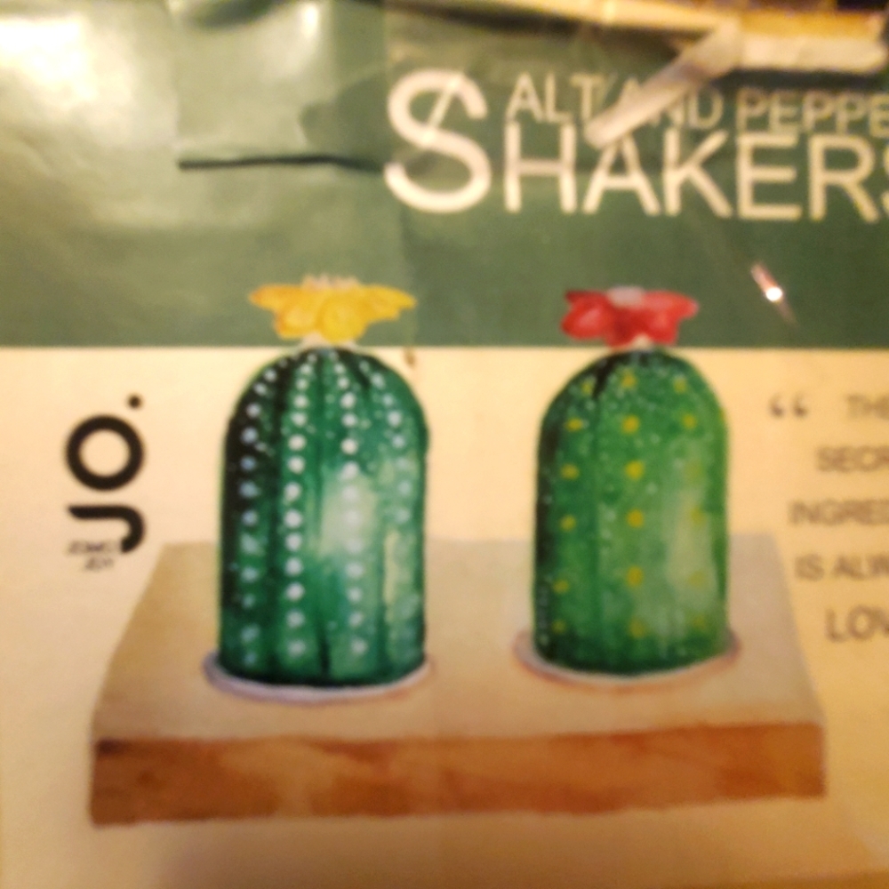 Jomo Joy  Salt and Pepper Cactus Shaker Set with Wood Tray